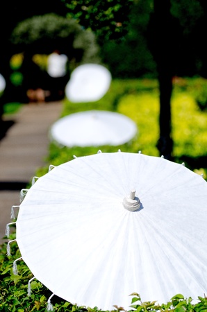 Chiang Mai umbrellasの写真素材