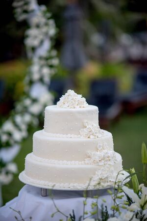 Selective focusの写真素材