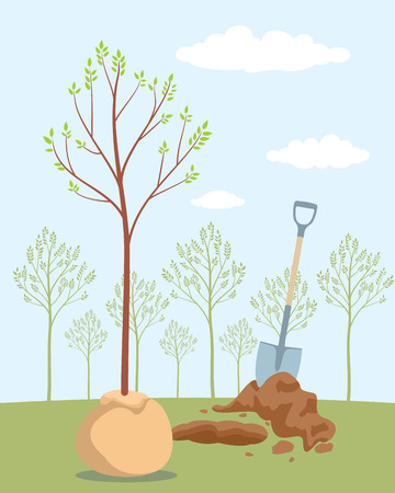 Planting tree. Save trees - day of forests. Orchard planting. Vector illustrationのイラスト素材