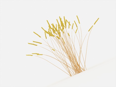 Grain isolated rendered on white backgroundの写真素材