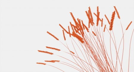 Grain on red isolated on white backgroundの写真素材