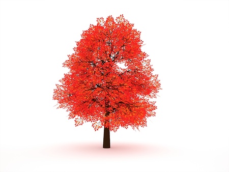 Red tree on white backgroundの写真素材