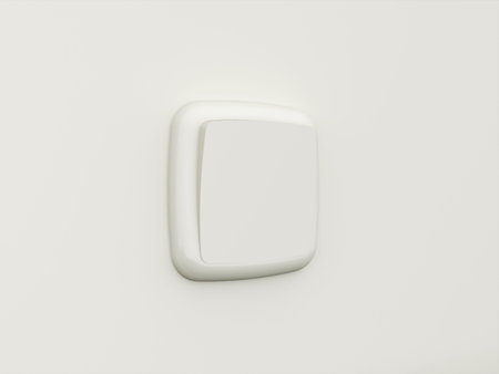Switch on the wall render black and white