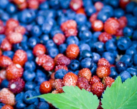 Strawberries and huckleberriesの写真素材