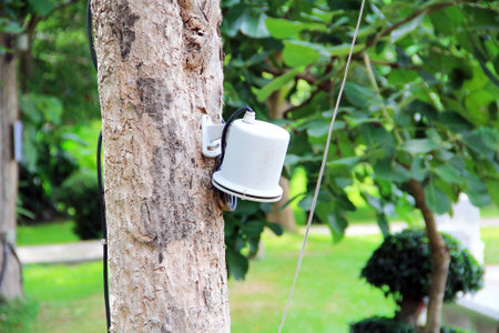 garden lightの写真素材