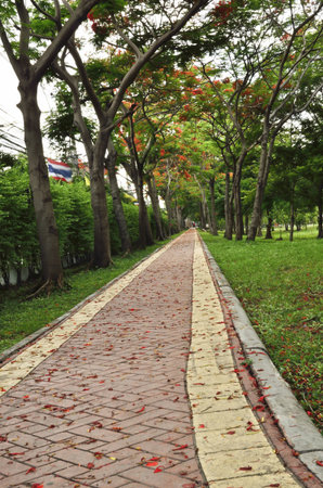 Pathway in a Lush Green Park
