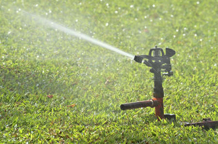 sprinkler watering the green grassの写真素材