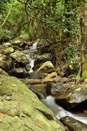 waterfall falls over mossy rocks in forest