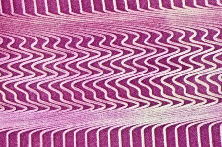 pattern of leather chiar texture