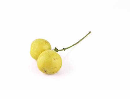 burmese grapes  on white backgroundの写真素材