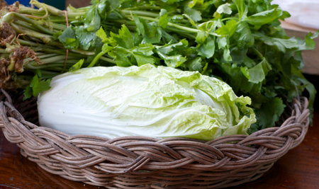 lettuce head on basketの写真素材