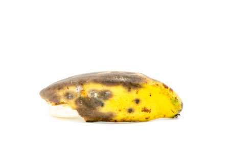 rotten banana on white backgroundの写真素材
