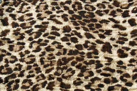 Fashion trendy fabric pattern with leopard skin printの写真素材