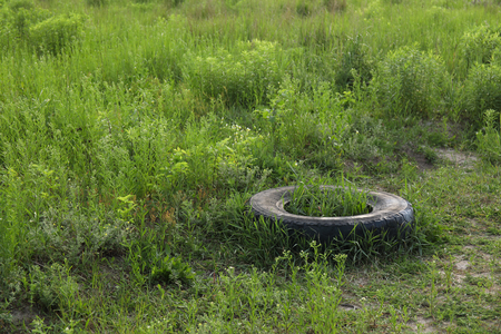 Landscape view on a green forest and grass with huge garbage dump.の写真素材