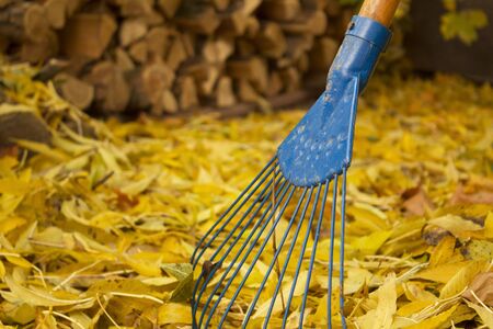 Pile of fall leaves with fan rake on lawn close upの写真素材