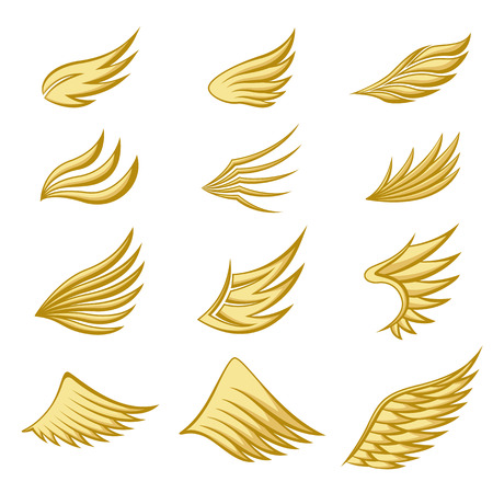 Set of gold wings on white backgroundのイラスト素材