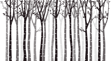 Birch tree wood silhouette on white backgroundのイラスト素材