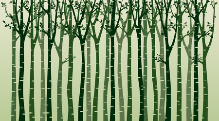 Birch tree with birds silhouette on green backgroundのイラスト素材