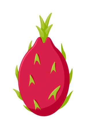 Dragon fruit isolated on white background, flat design, fruit vector illustrationのイラスト素材