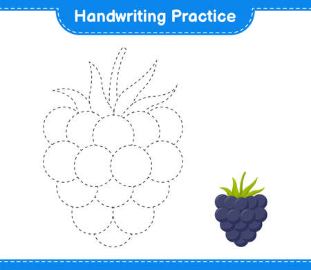 Handwriting practice. Tracing lines of Blackberries. Educational children game, printable worksheet, vector illustrationのイラスト素材
