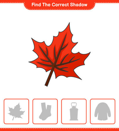 Find the correct shadow. Find and match the correct shadow of Maple Leaf. Educational children game, printable worksheet, vector illustrationのイラスト素材