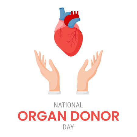 National organ donor day with Human Heartのイラスト素材