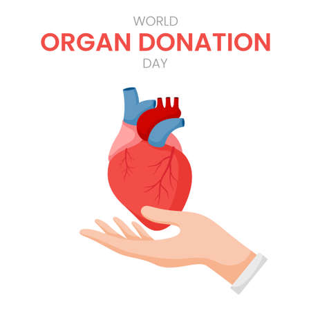 National organ donor day with Human Heartのイラスト素材