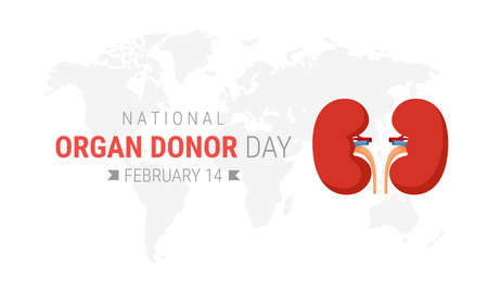 National organ donor day with Kidneysのイラスト素材