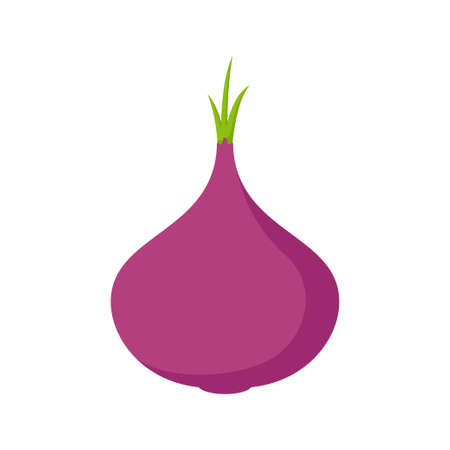 Red Onion isolated on white backgroundのイラスト素材