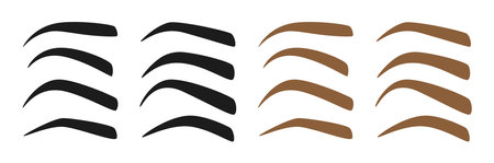 Set of Eyebrow shapes on white backgroundのイラスト素材