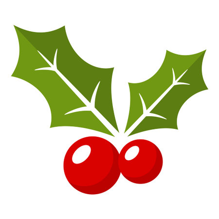 Holly Berry isolated on white backgroundのイラスト素材