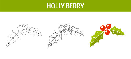Holly Berry tracing and coloring worksheet for kidsのイラスト素材