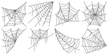 Set of Spider web isolated on white backgroundのイラスト素材