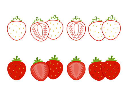 Strawberry collections set in flat styleのイラスト素材