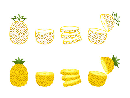 Pineapple collections set in flat styleのイラスト素材