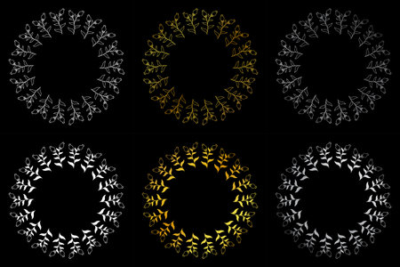 Floral templates for Invitation cards. Flower wedding invitation.のイラスト素材
