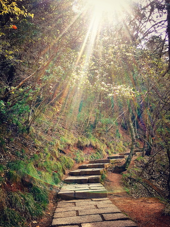 Sunshine in the mountain rockの写真素材