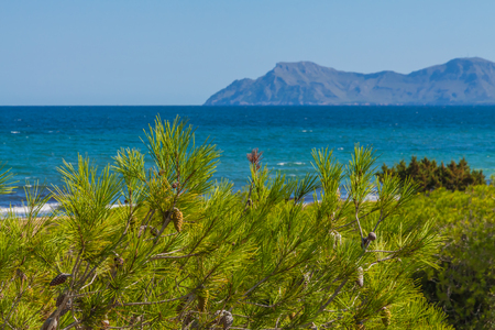 Mallorca landscapeの写真素材