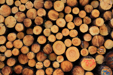 Firewoodの写真素材