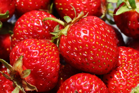 Strawberriesの写真素材