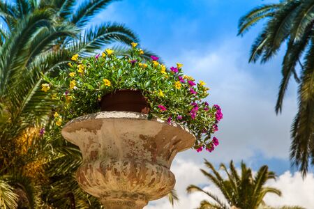 The Garden of the Jardines de Alfabia in Majorcaの写真素材
