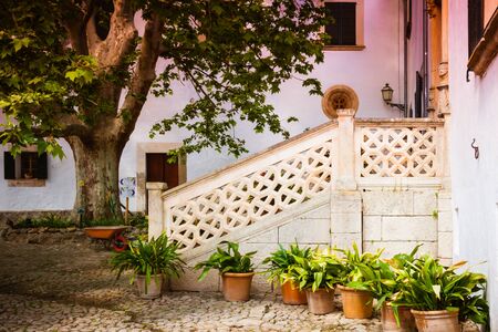The Garden of the Jardines de Alfabiaの写真素材