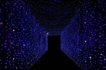 Blue stars in a wayの写真素材