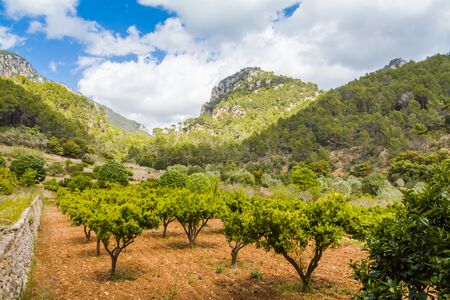 The landscape of the serra tramuntana on the island of Majorcaの写真素材