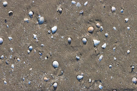 Sand on the beach on the baltic seaの写真素材