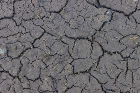 Dry waterless natural mud in the summerの写真素材