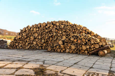 Fresh cutted wood in a staple outsideの写真素材