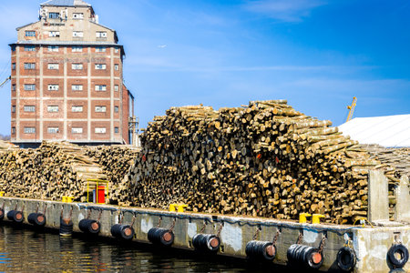 Stacked wooden logs in the harborの写真素材
