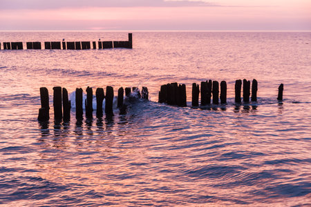 Wooden breakwaters in the Baltic Sea at sunset, Poland.の写真素材