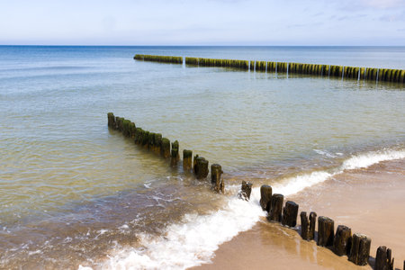 Wooden breakwater on the beach of the Baltic Sea in Polandの写真素材